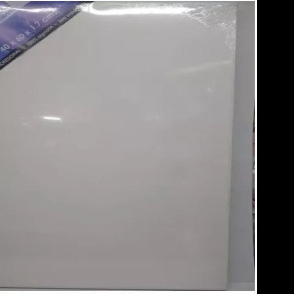 BASTIDOR PROF. 40X60X1.7CM. MECANORMAPINTO C.20